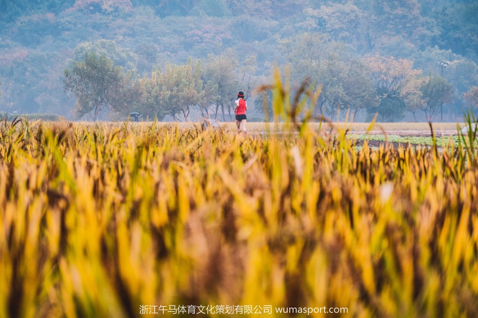 微信图片_2019110720582310
