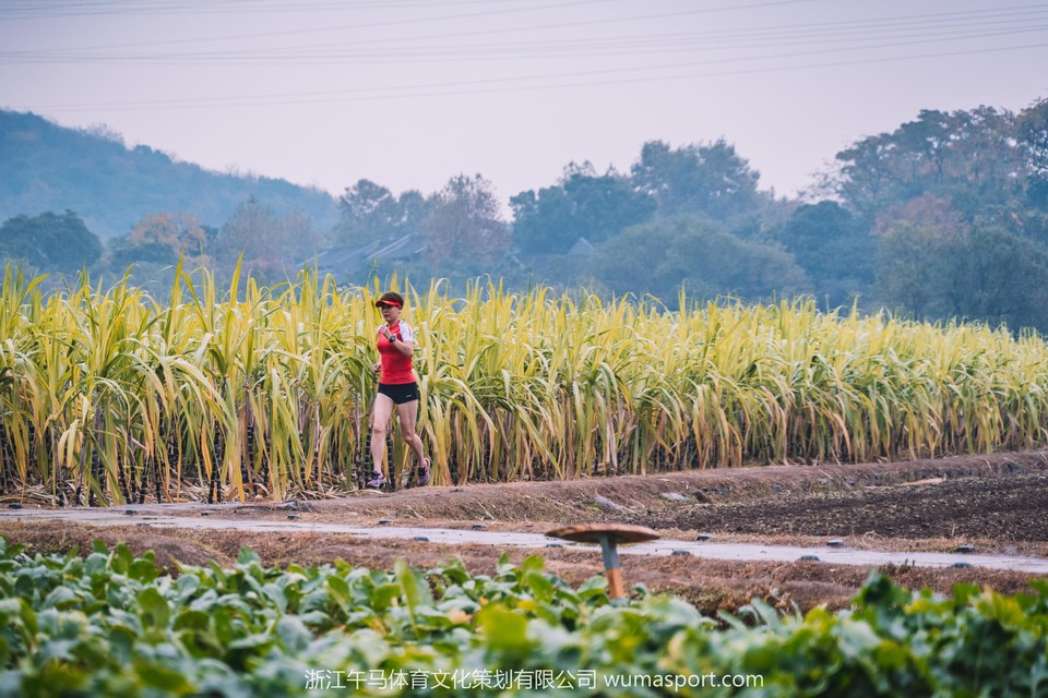 微信图片_2019110720582311