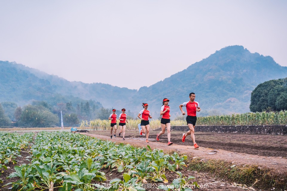 微信图片_2019110720582312