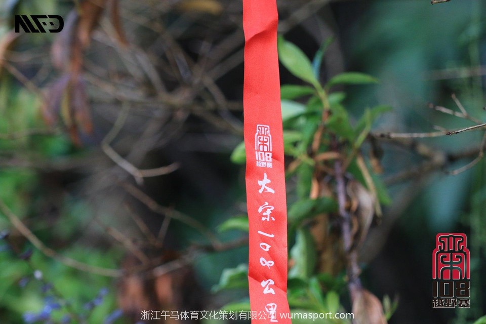 mmexport73aaaf0941984e9e4c17e446fd39ffd9