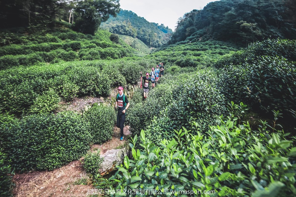 mmexport1602937523519