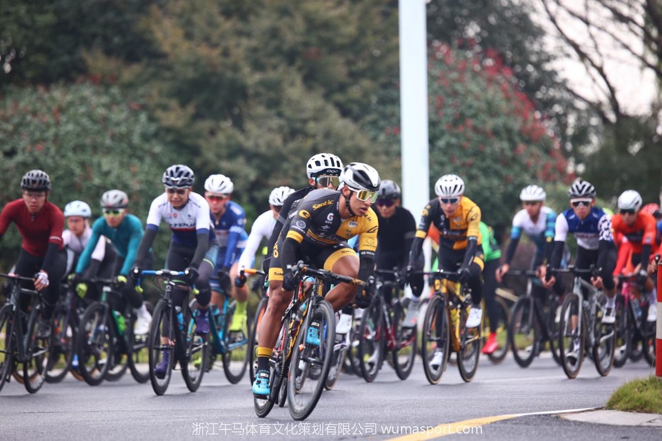 mmexport1606611966488