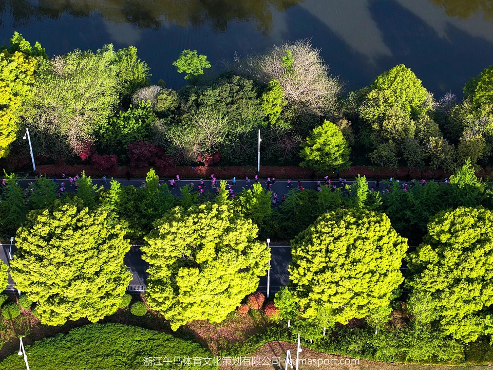 DJI_20250413071214_0782_D