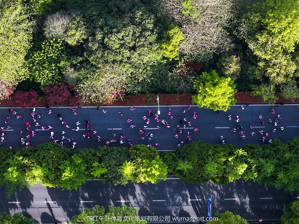 DJI_20250413071233_0784_D