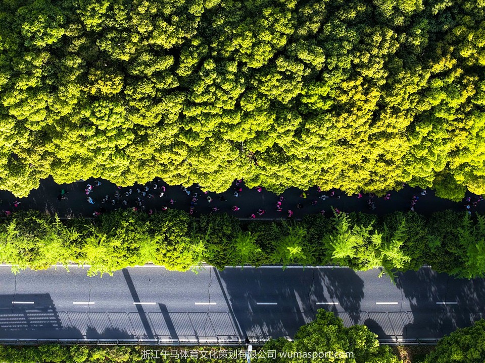 DJI_20250413071327_0787_D