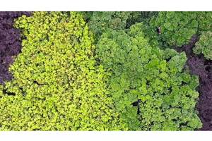 努力奋斗·2021杭州越野赛