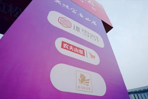 【赛事影像】健康黄金冰雪容·2022桐庐半程马拉松