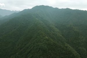 【赛事影像】2024翻越富春山·桐庐越野赛