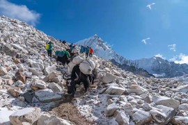 微信图片_20180928092801