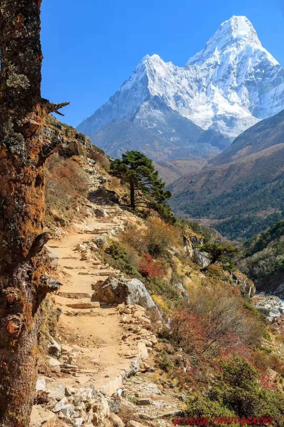 微信图片_20190110150227