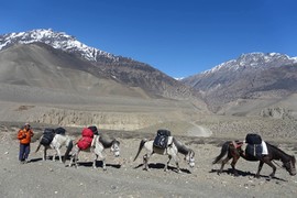 微信图片_20190415174735