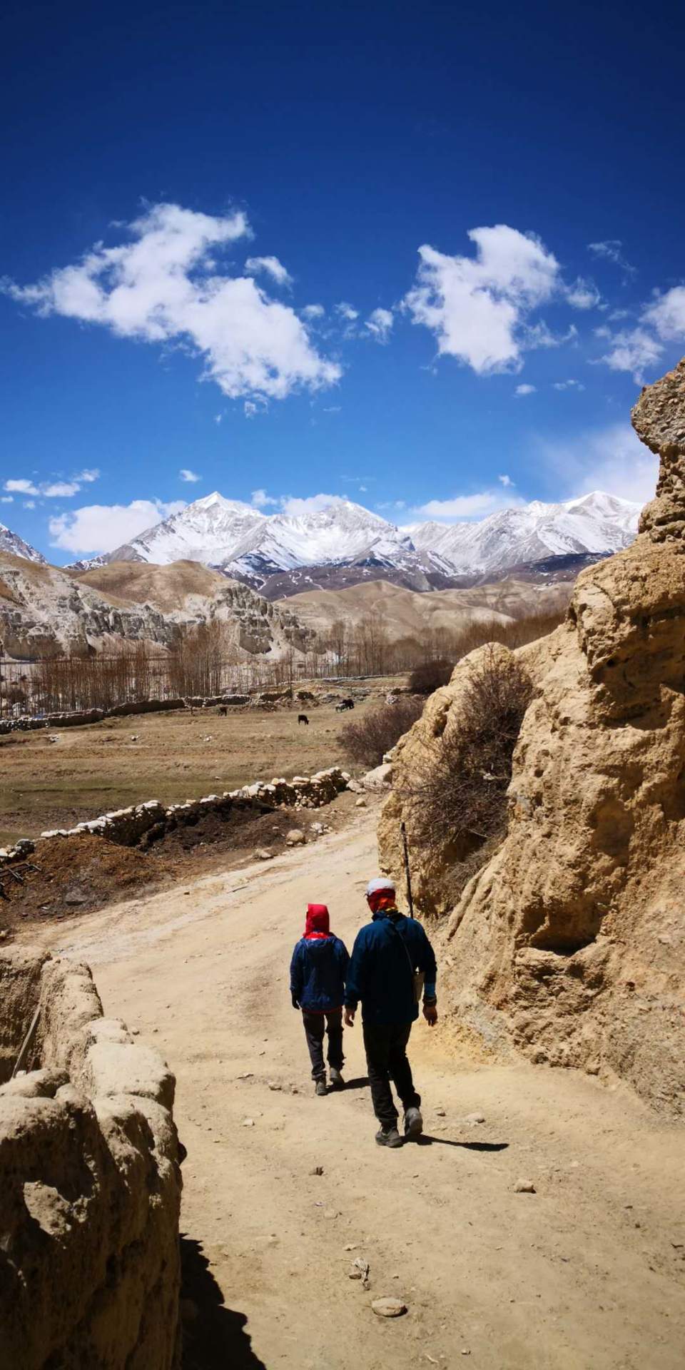 微信图片_20190415174333