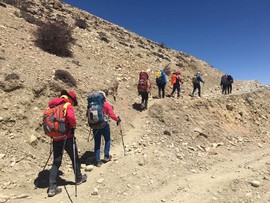 mmexport1555656945711