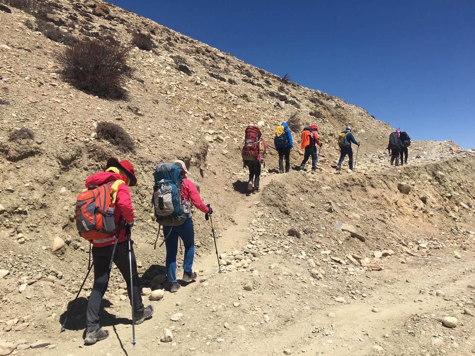 mmexport1555656945711