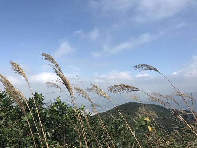 香港户外线路：云雾中的香港大刀屻