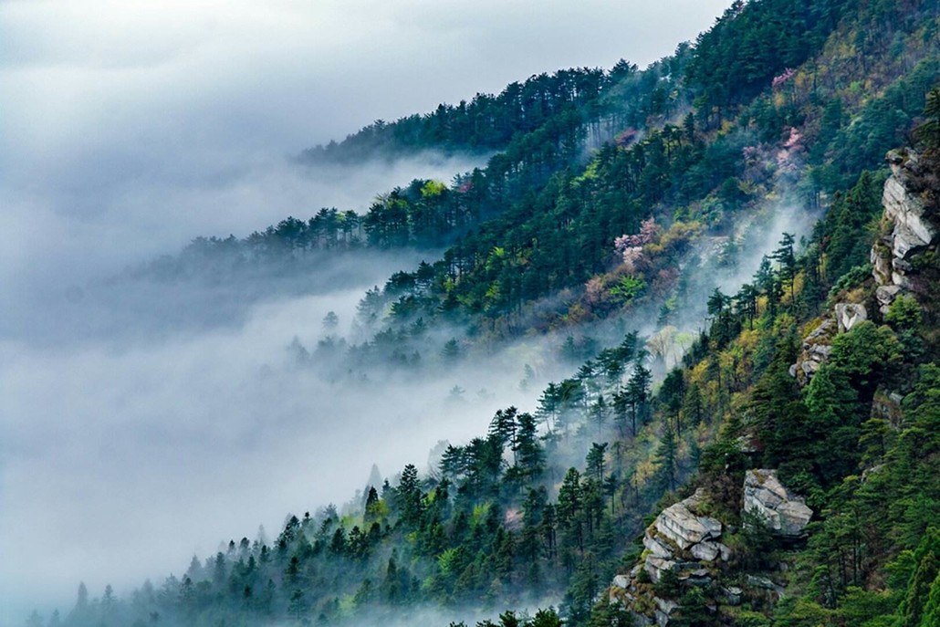【中秋/国庆】中国名山:登江西庐山,锦绣谷,五老峰,龙首崖,三叠泉瀑布