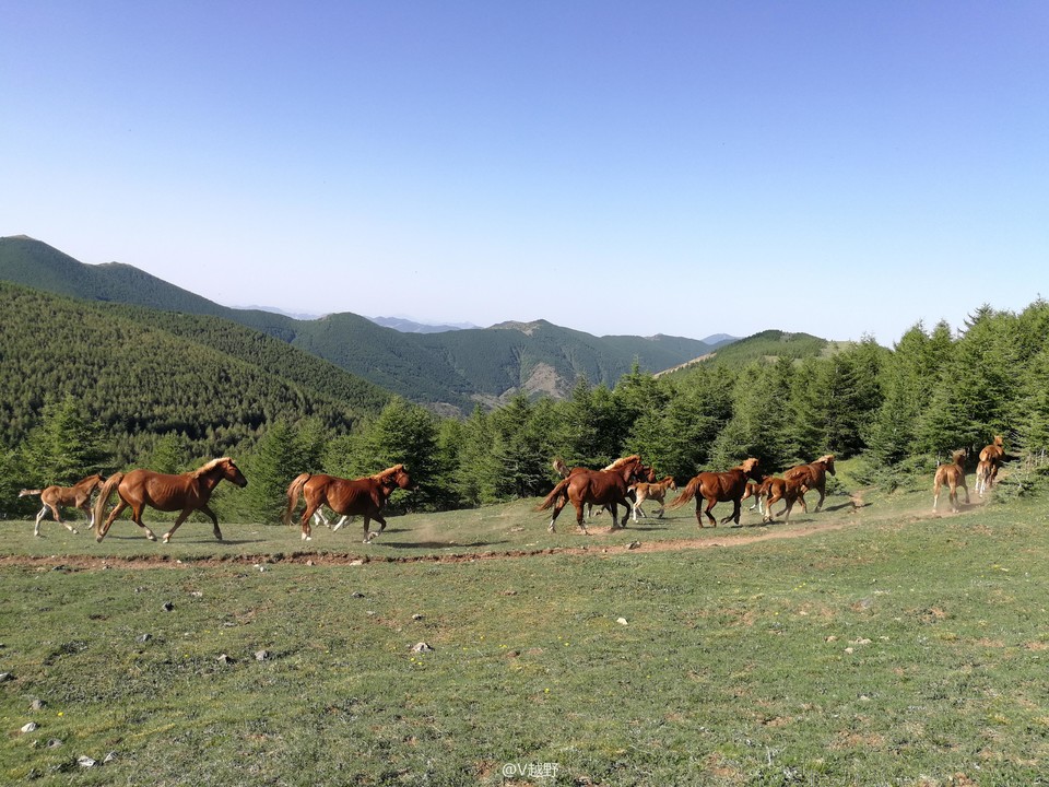 微信图片_20170605124411