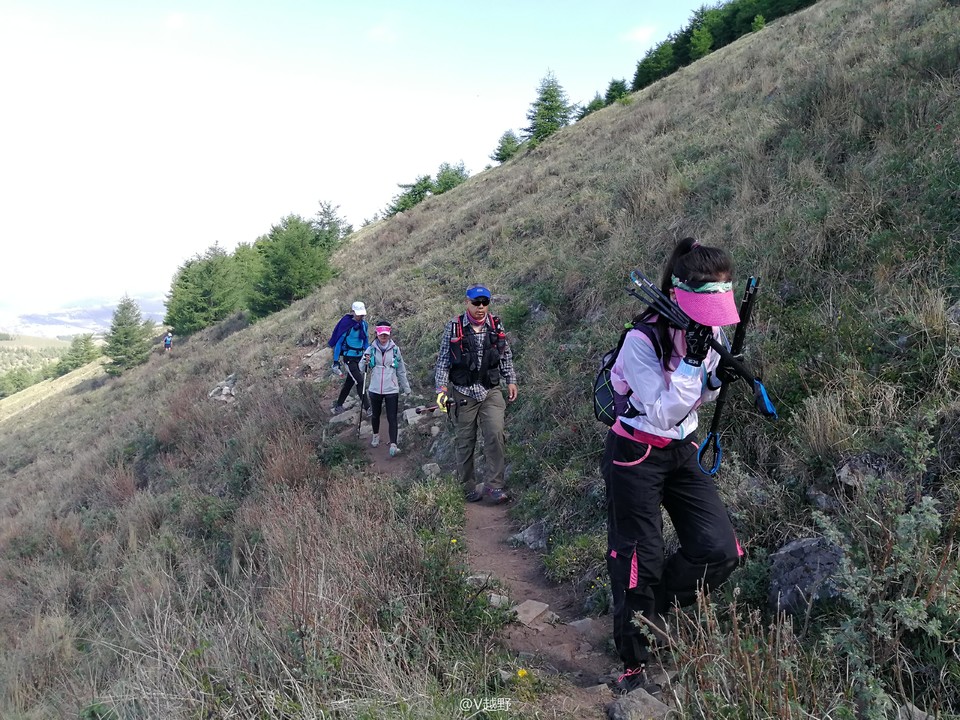 微信图片_20170605124446