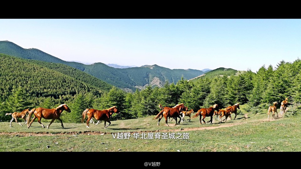 微信图片_20170605124513