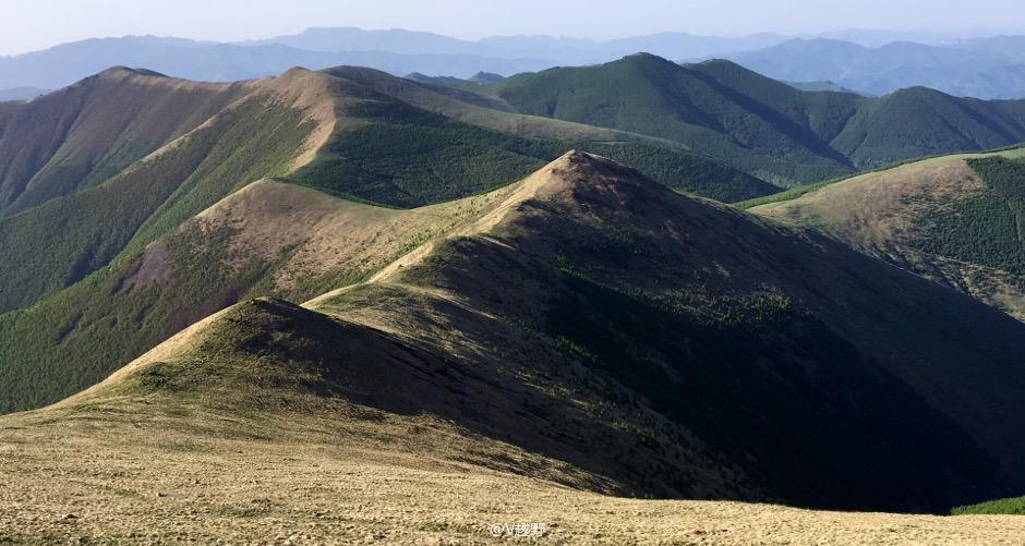 微信图片_20170605124526