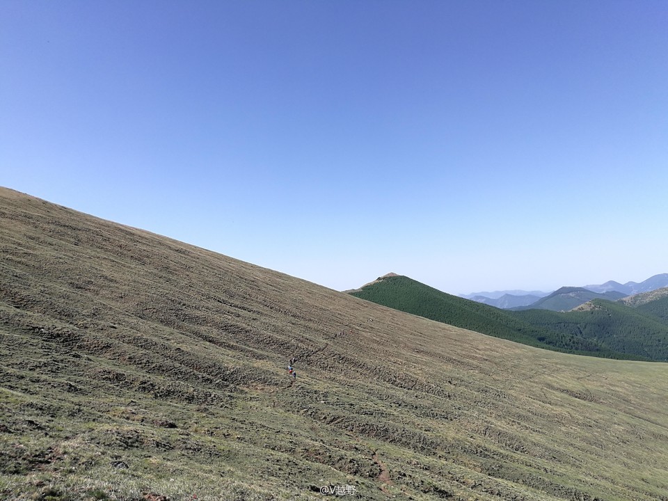 微信图片_20170605124541