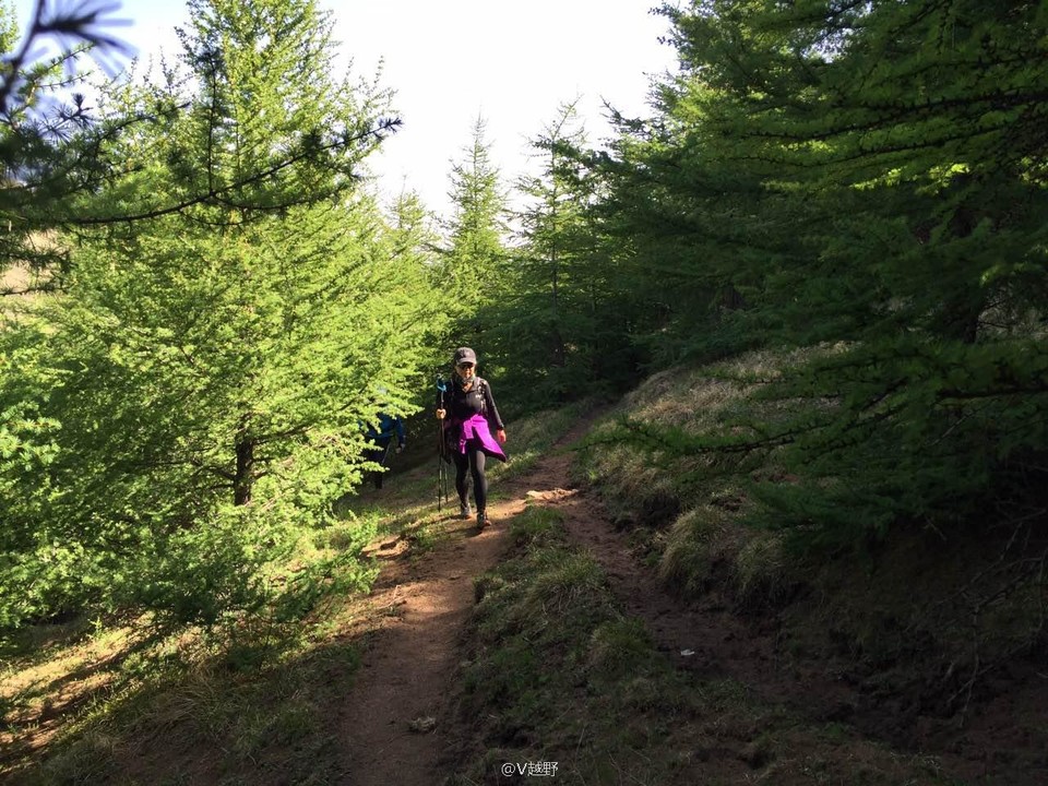 微信图片_20170605124607