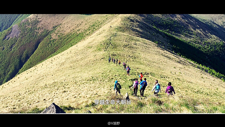 微信图片_20170605124620