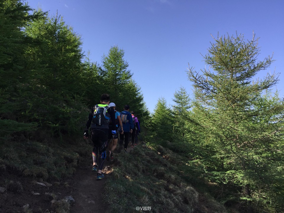 微信图片_20170605124710