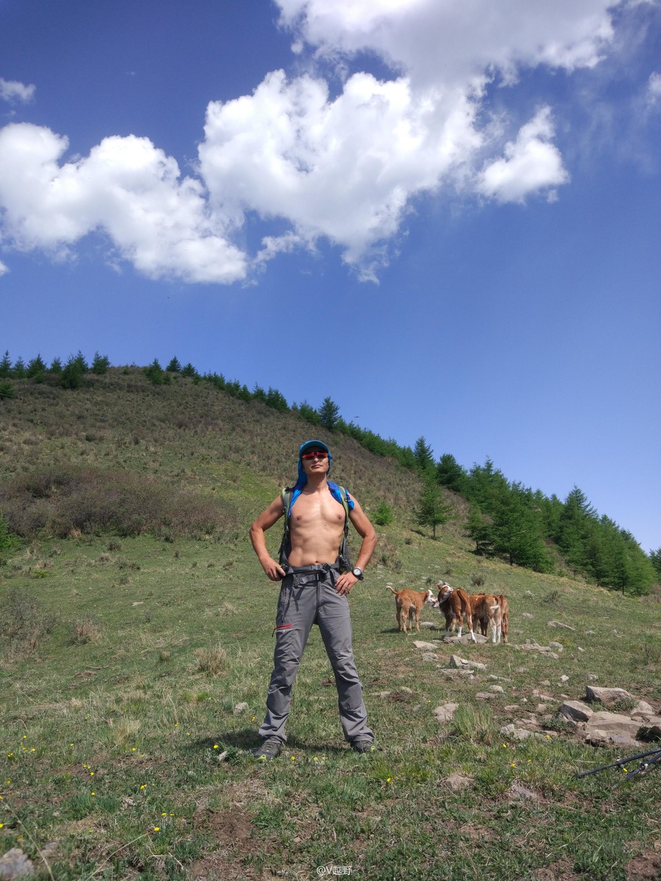 微信图片_20170605124718