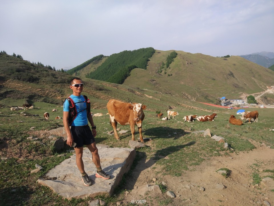 微信图片_20170605124734