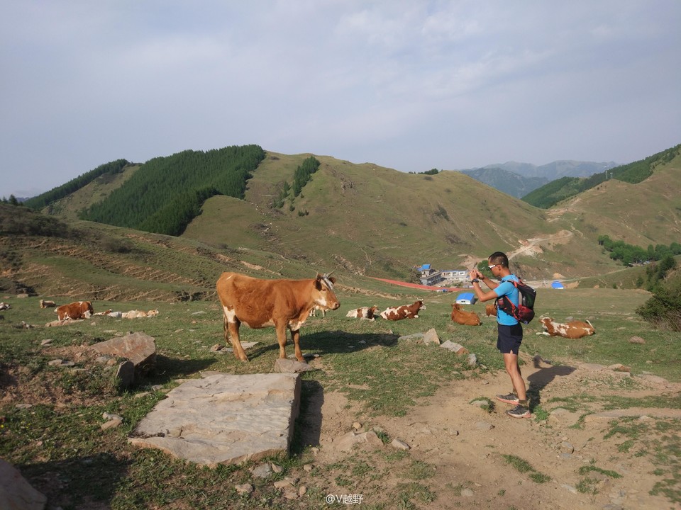 微信图片_20170605124743