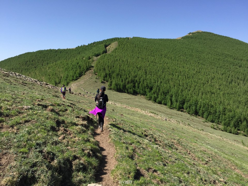 微信图片_20170605124859