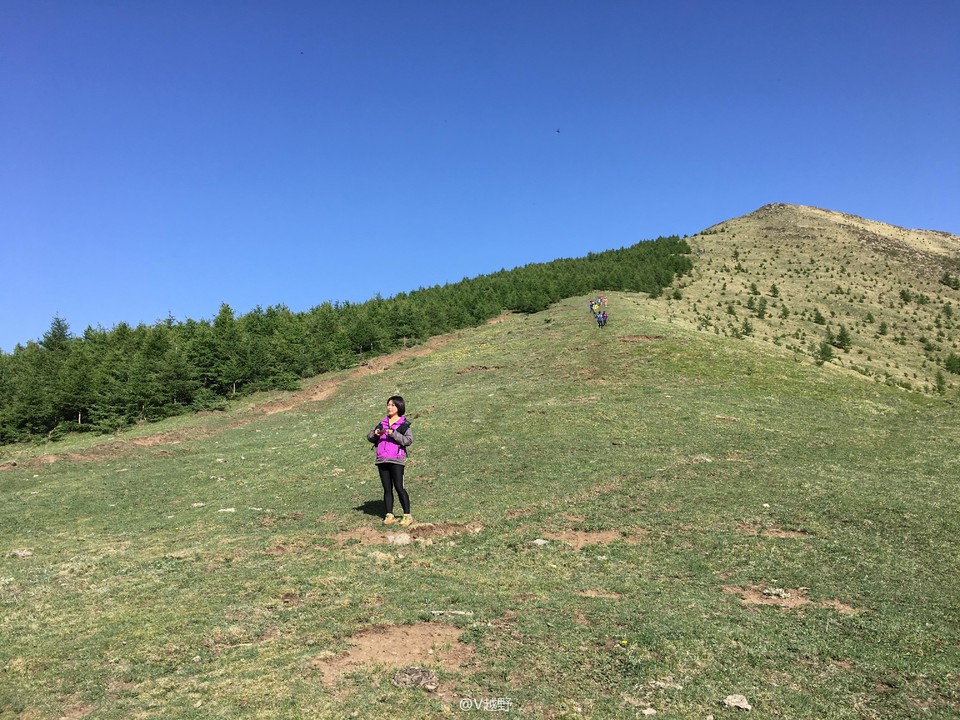 微信图片_20170605124947