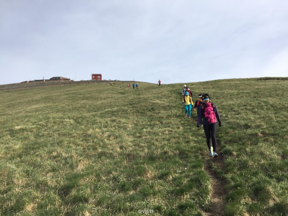 微信图片_20170605125204