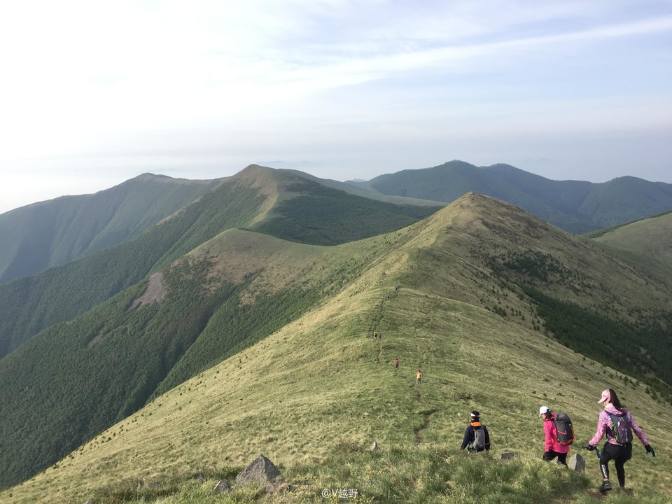 微信图片_20170605125257