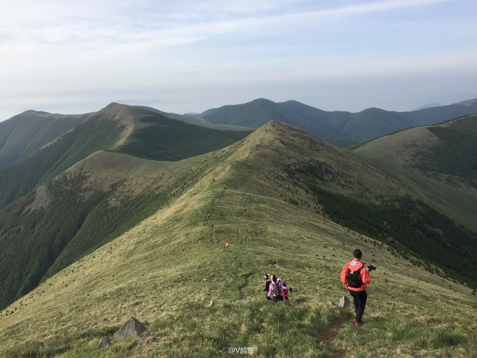 微信图片_20170605125304