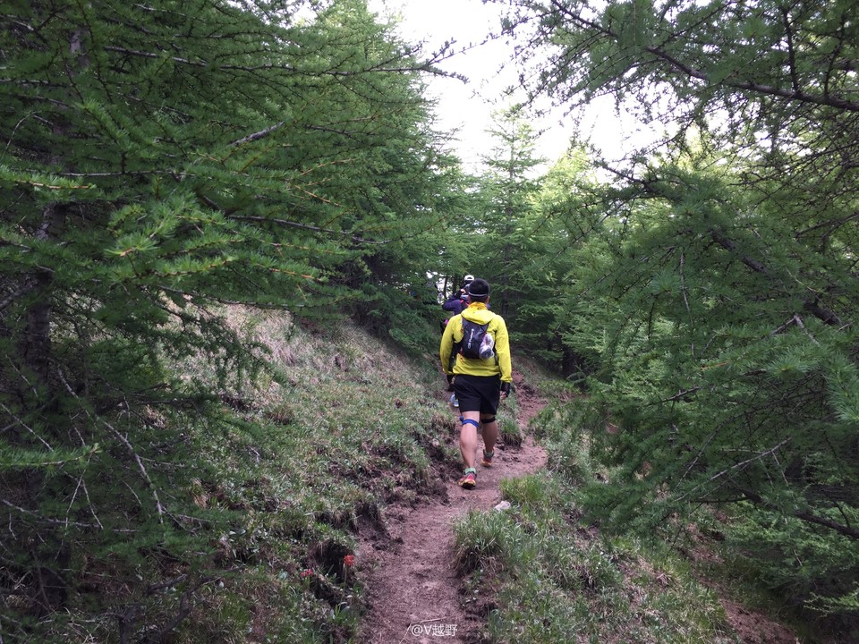 微信图片_20170605125311