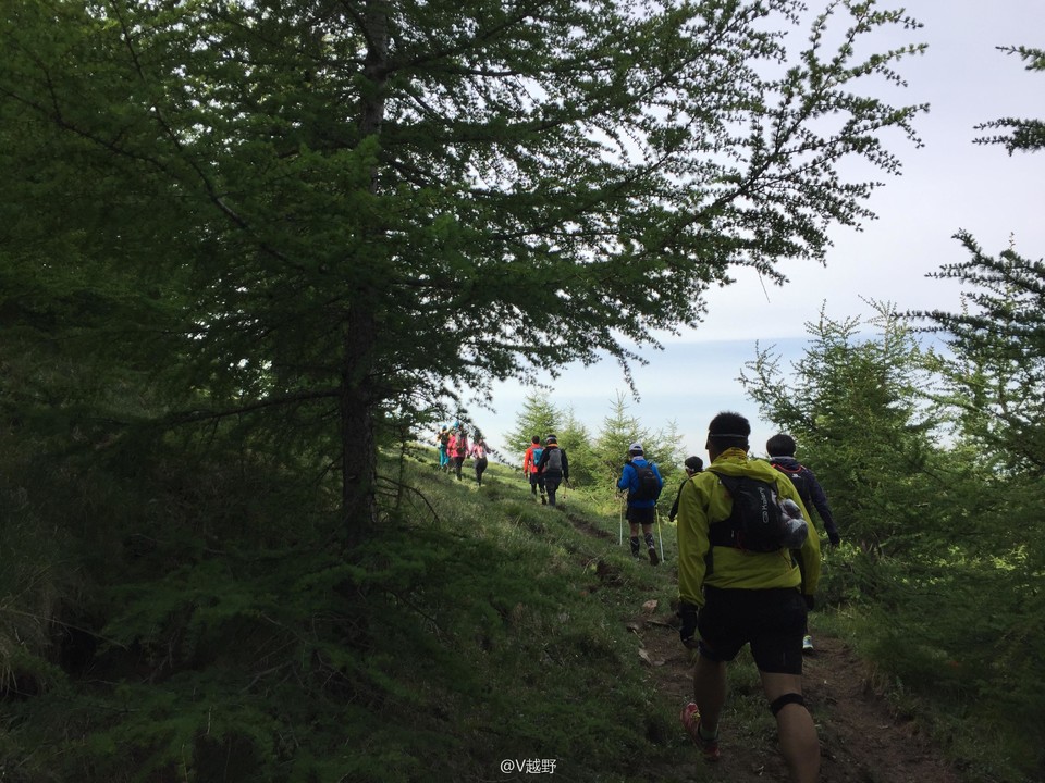 微信图片_20170605125317