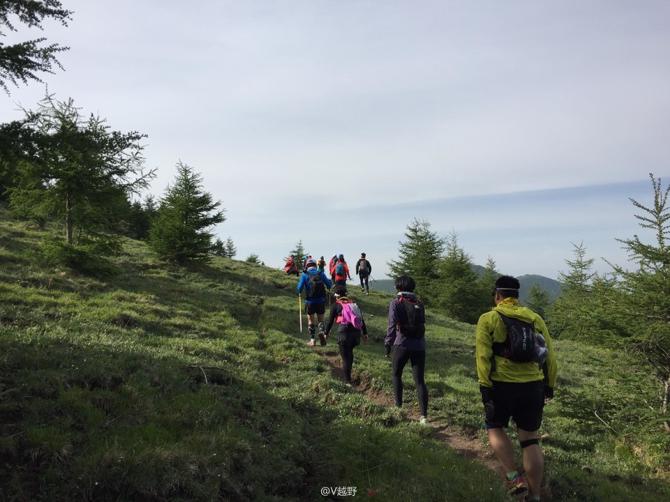 微信图片_20170605125325