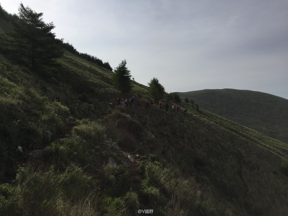 微信图片_20170605125339