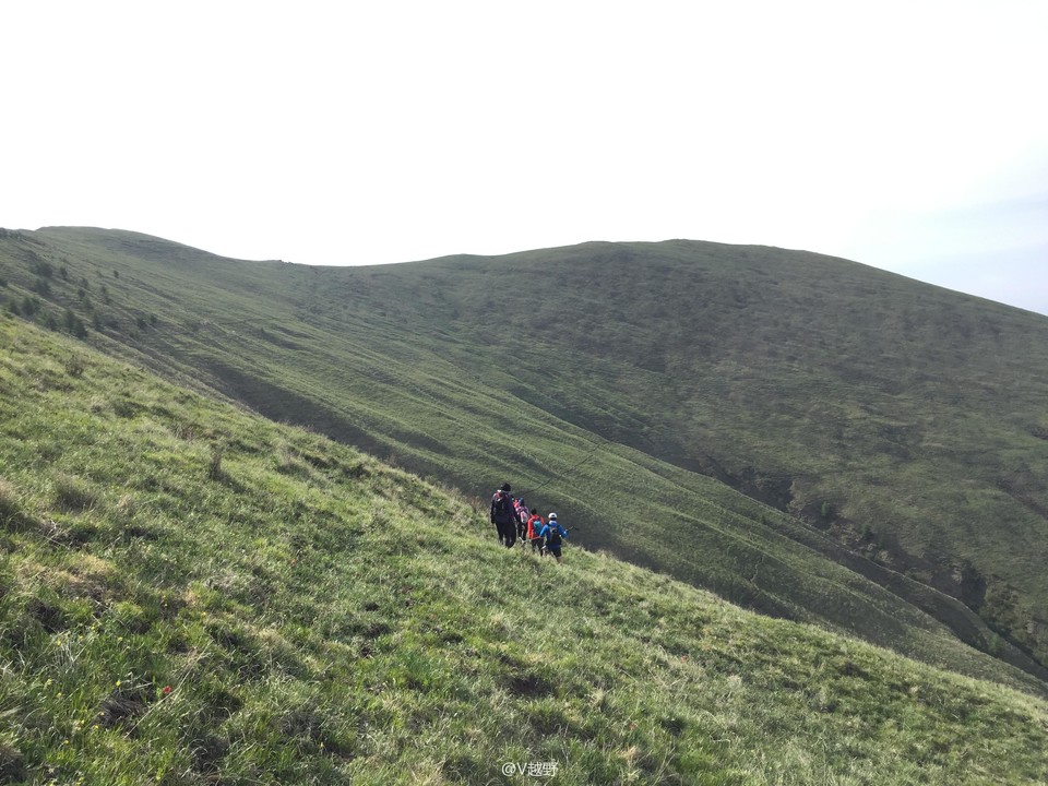 微信图片_20170605125345