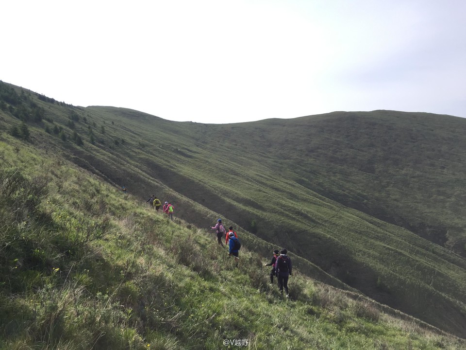 微信图片_20170605125352