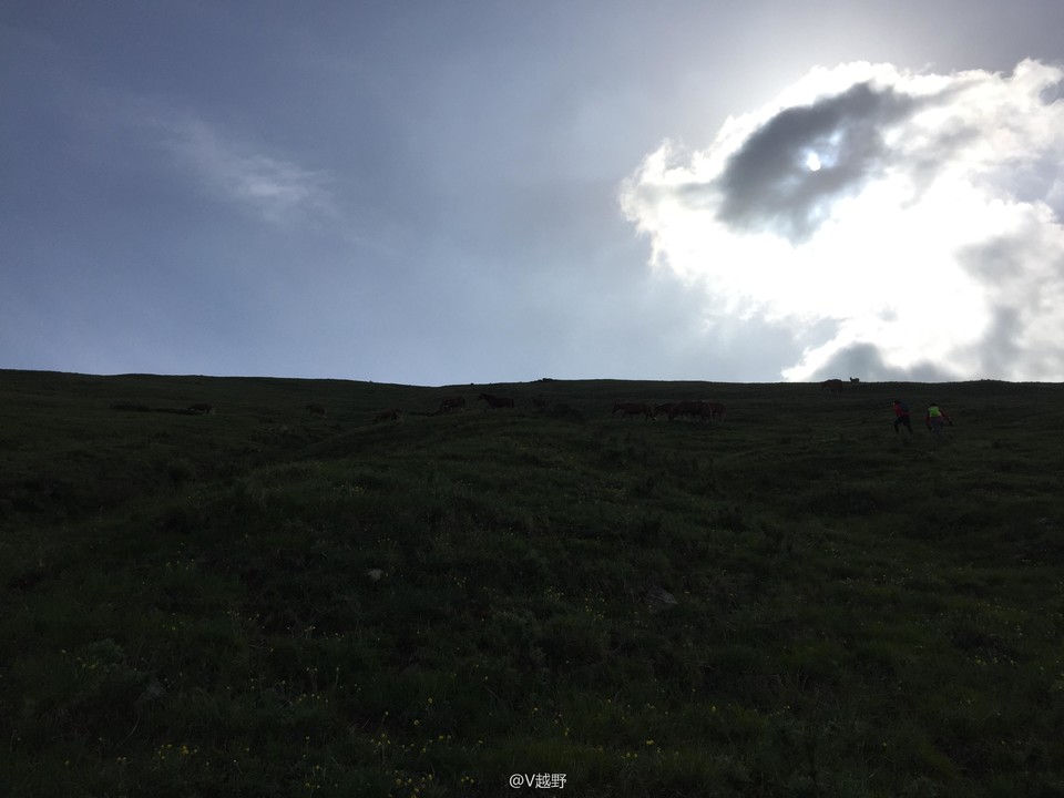 微信图片_20170605125451