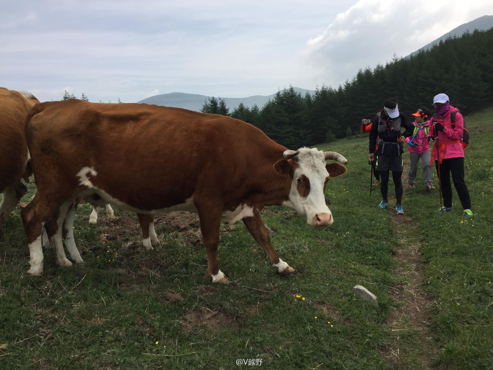 微信图片_20170605125511