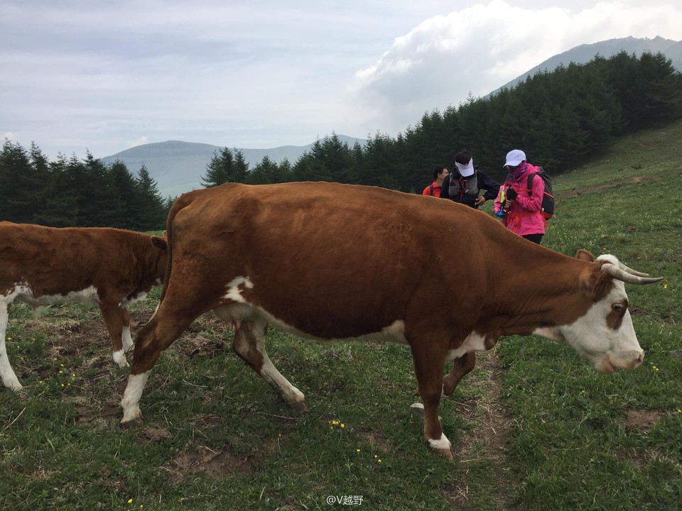 微信图片_20170605125518