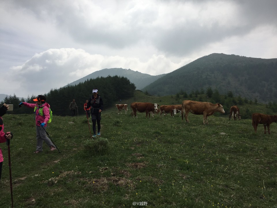 微信图片_20170605125525