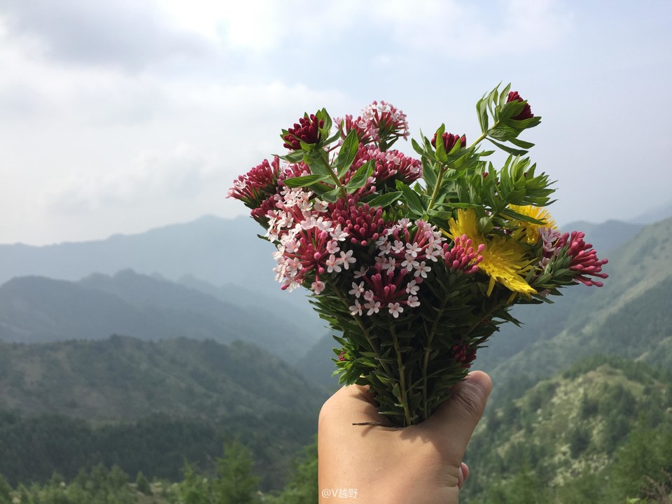 微信图片_20170605125551