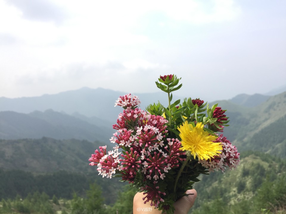 微信图片_20170605125558