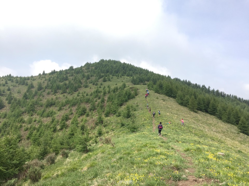 微信图片_20170605125618