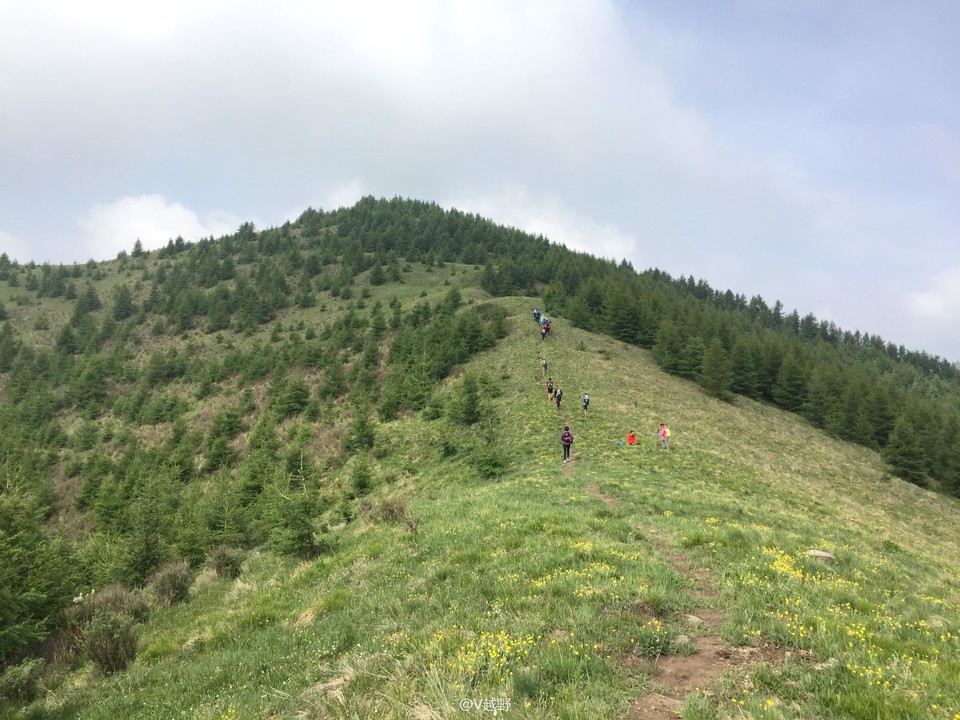 微信图片_20170605125625